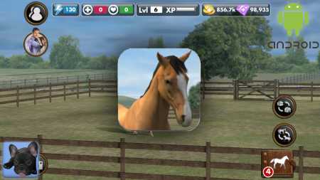 ВЗЛОМ My Horse. ЧИТ на монеты и кристаллы.