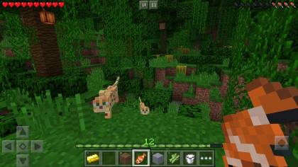 Скачать Minecraft Pocket Edition