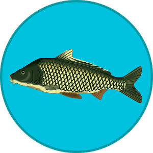 ВЗЛОМ Реальная Рыбалка